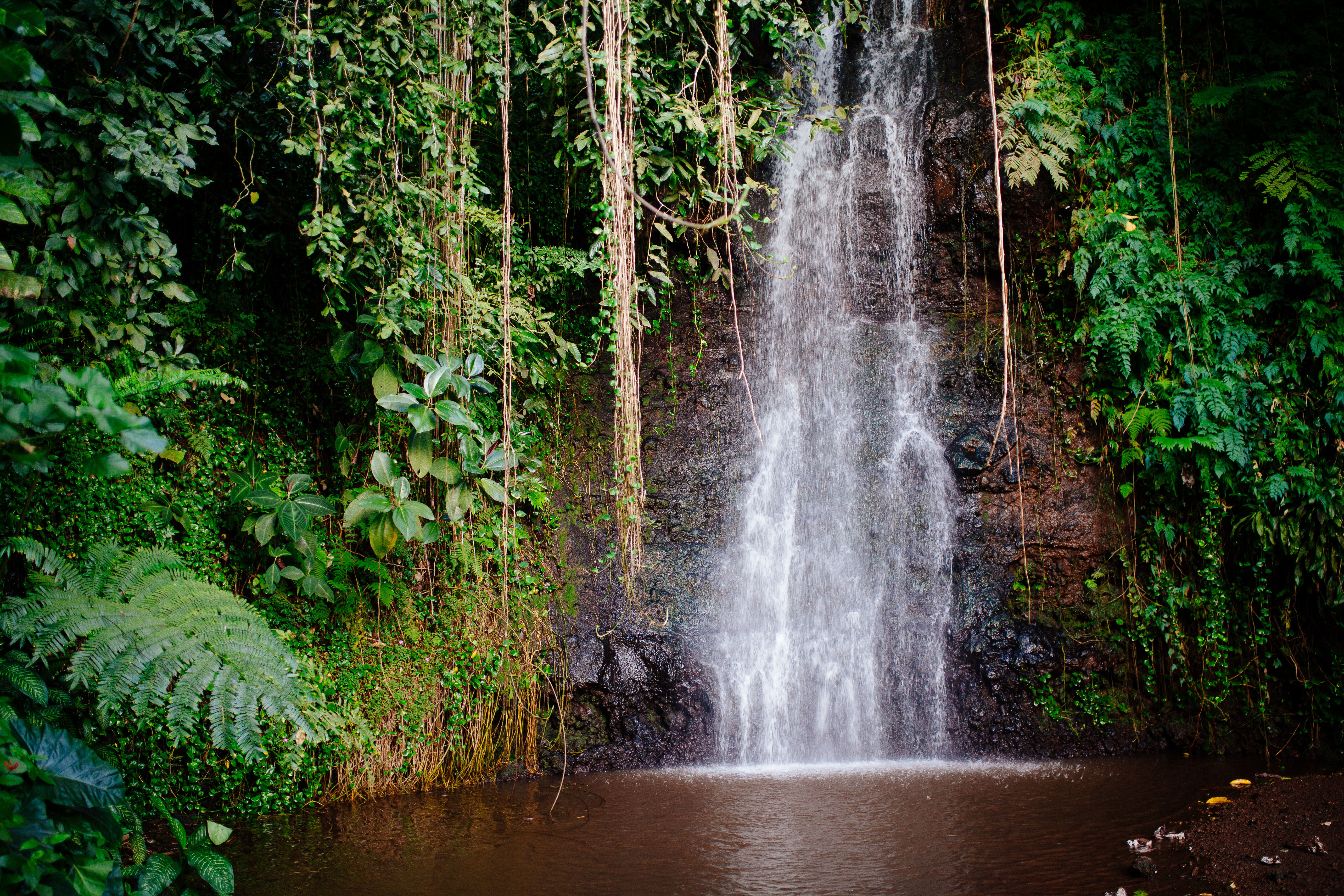 Tahiti waterfall 